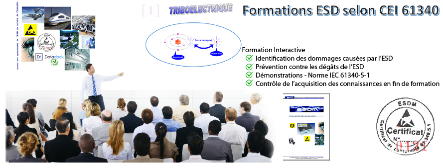 esd audit esdm